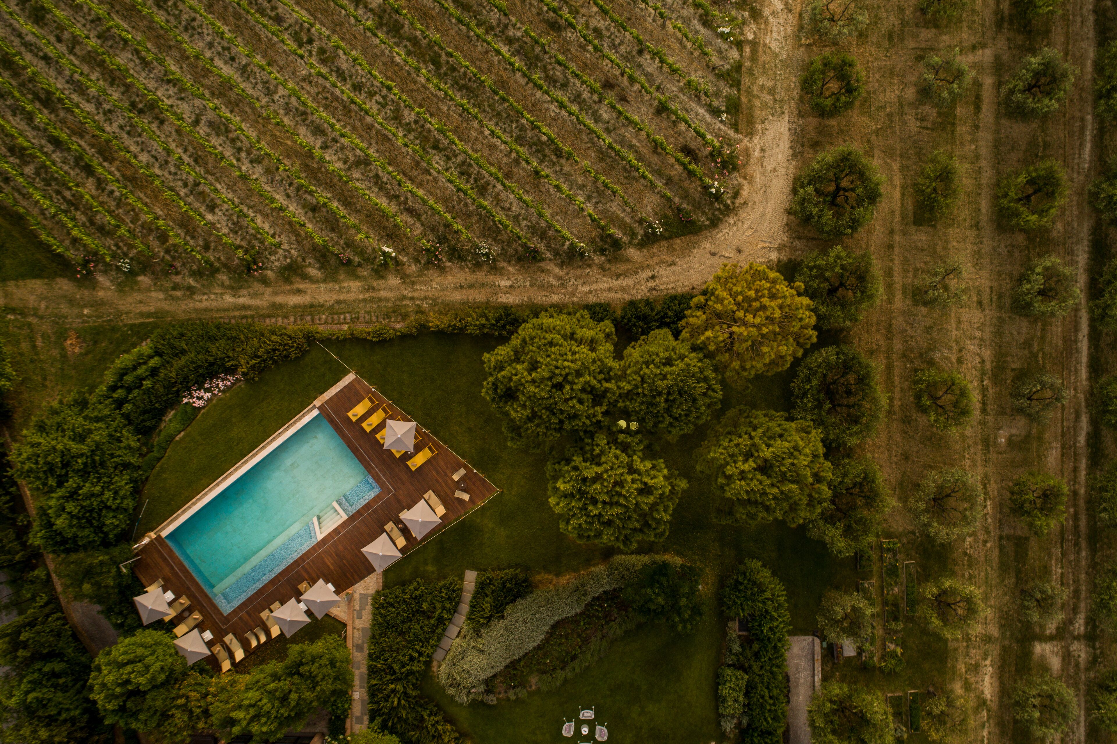 An aerial view of a resort with a swimming pool surrounded by lush greenery and vineyard rows.