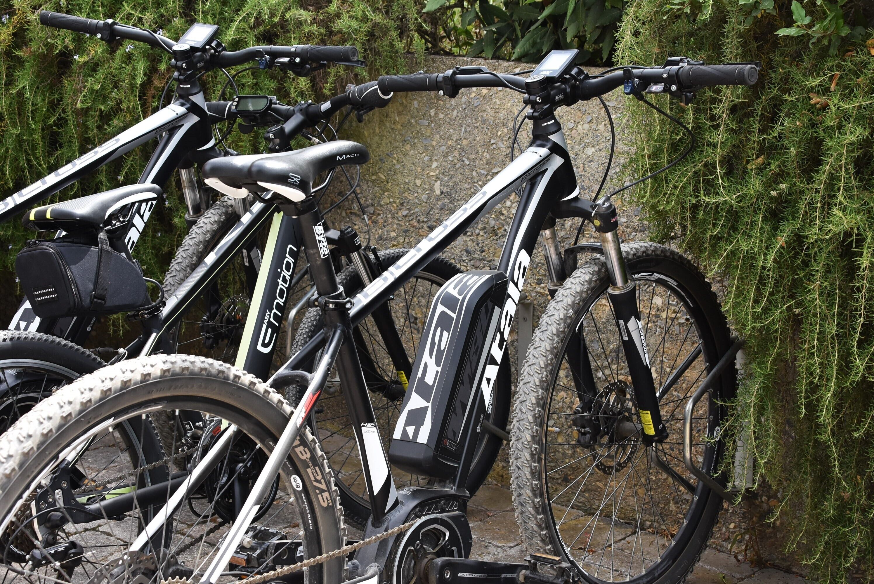 A stationary electric bike with a digital display and a rear rack, parked against a stone wall.