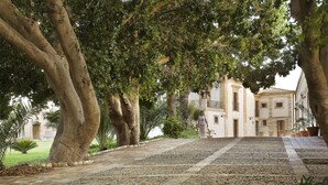 Un chemin pavé, bordé de grands arbres, mène à un bâtiment à la façade blanche et aux nombreuses fenêtres.