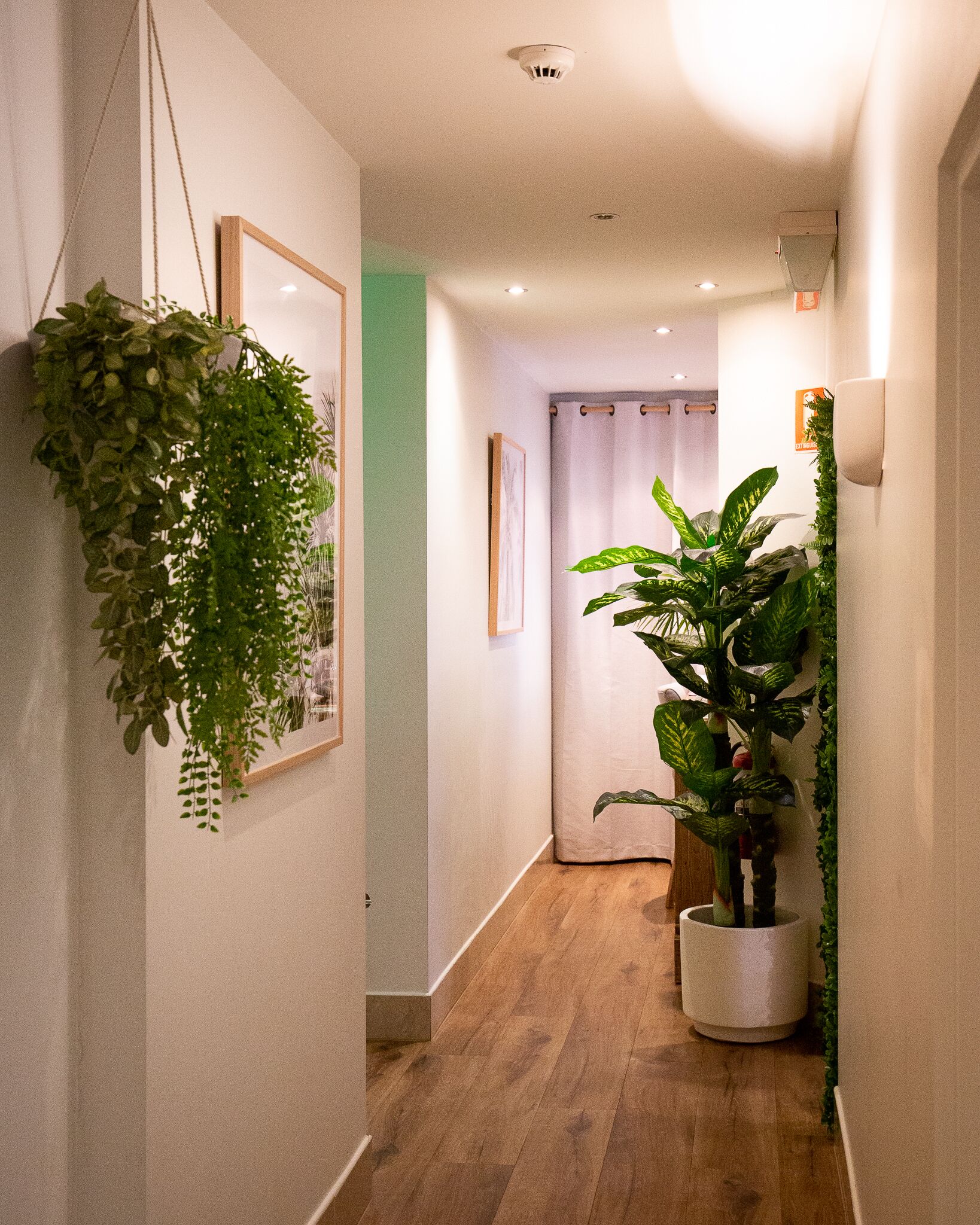 Un pasillo con piso de madera, una planta colgante, un cuadro enmarcado y una planta en maceta.