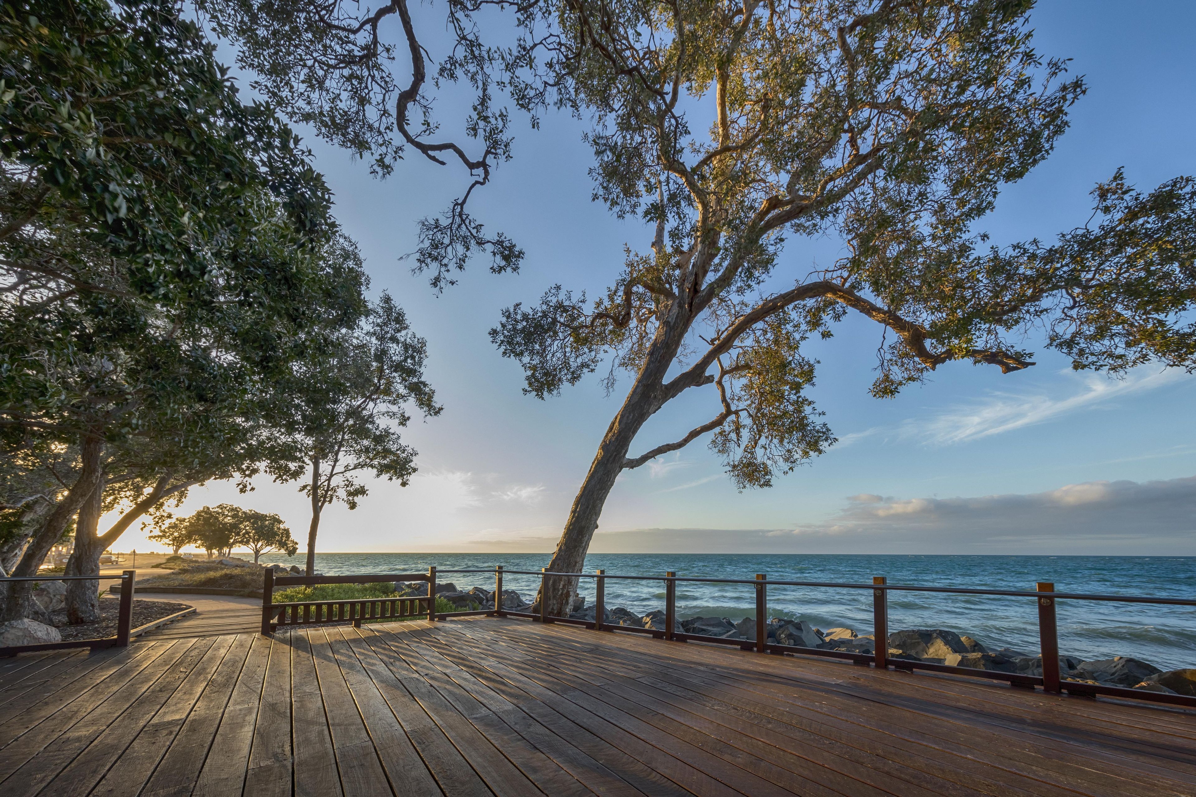 A wooden deck with a railing overlooking a body of water, surrounded by trees.