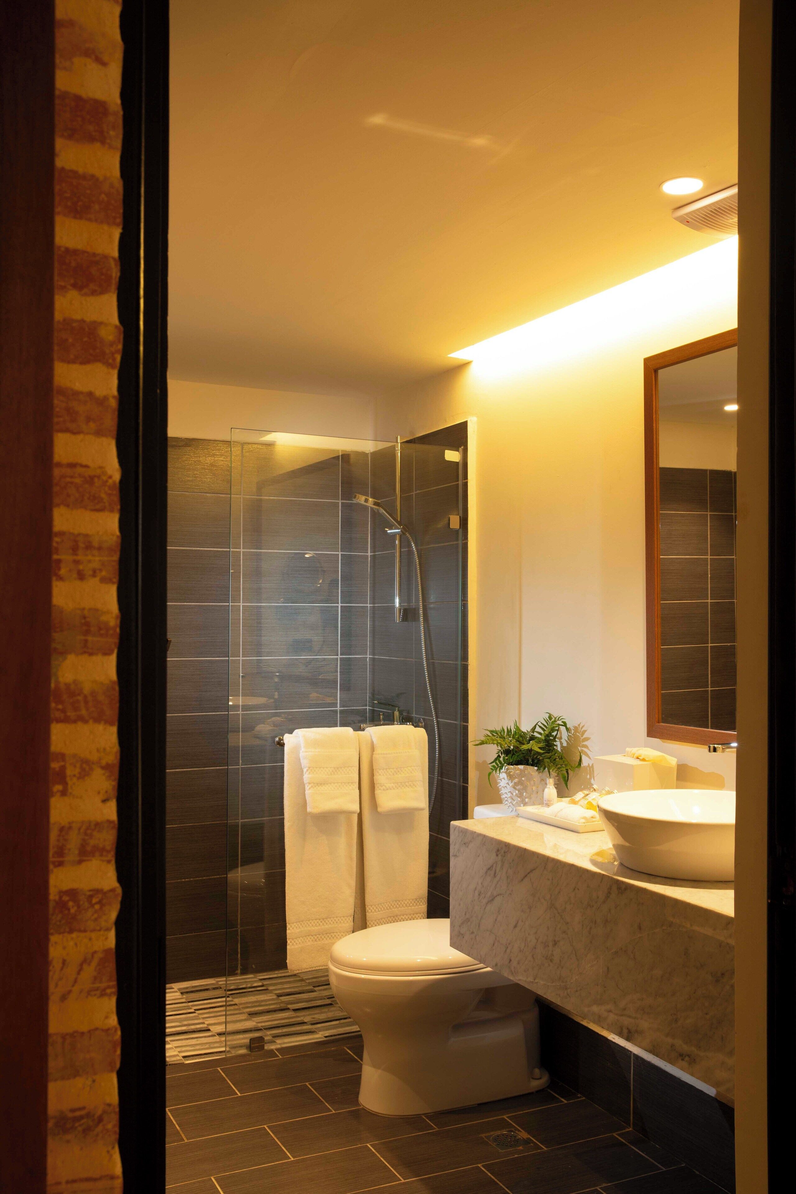 shower, free toiletries, hair dryer, towels