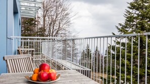 Standard Twin Room - Hotel Bellevue (Maribor)