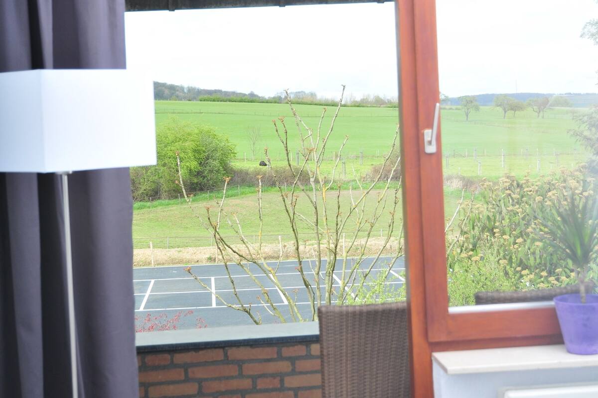 A room with a view of a green field and a parking area. There is a wicker chair and a radiator near the window.