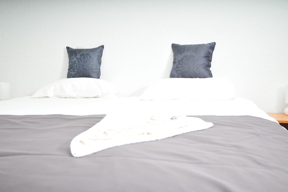 standard twin room, 2 single beds | desk, rollaway beds, free wifi