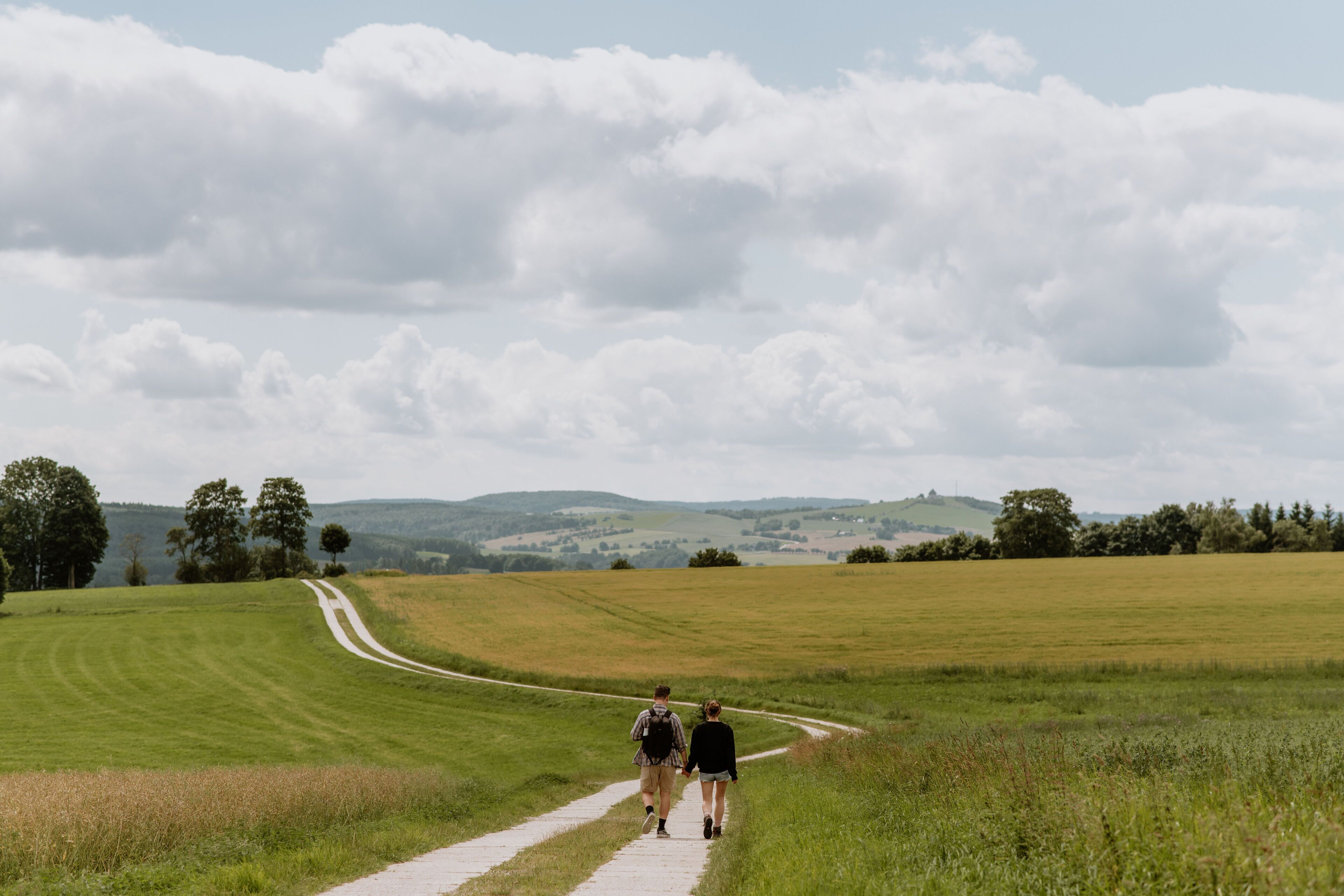 Ein Weg durch ein grasbewachsenes Feld, im Hintergrund Bäume und Hügel.