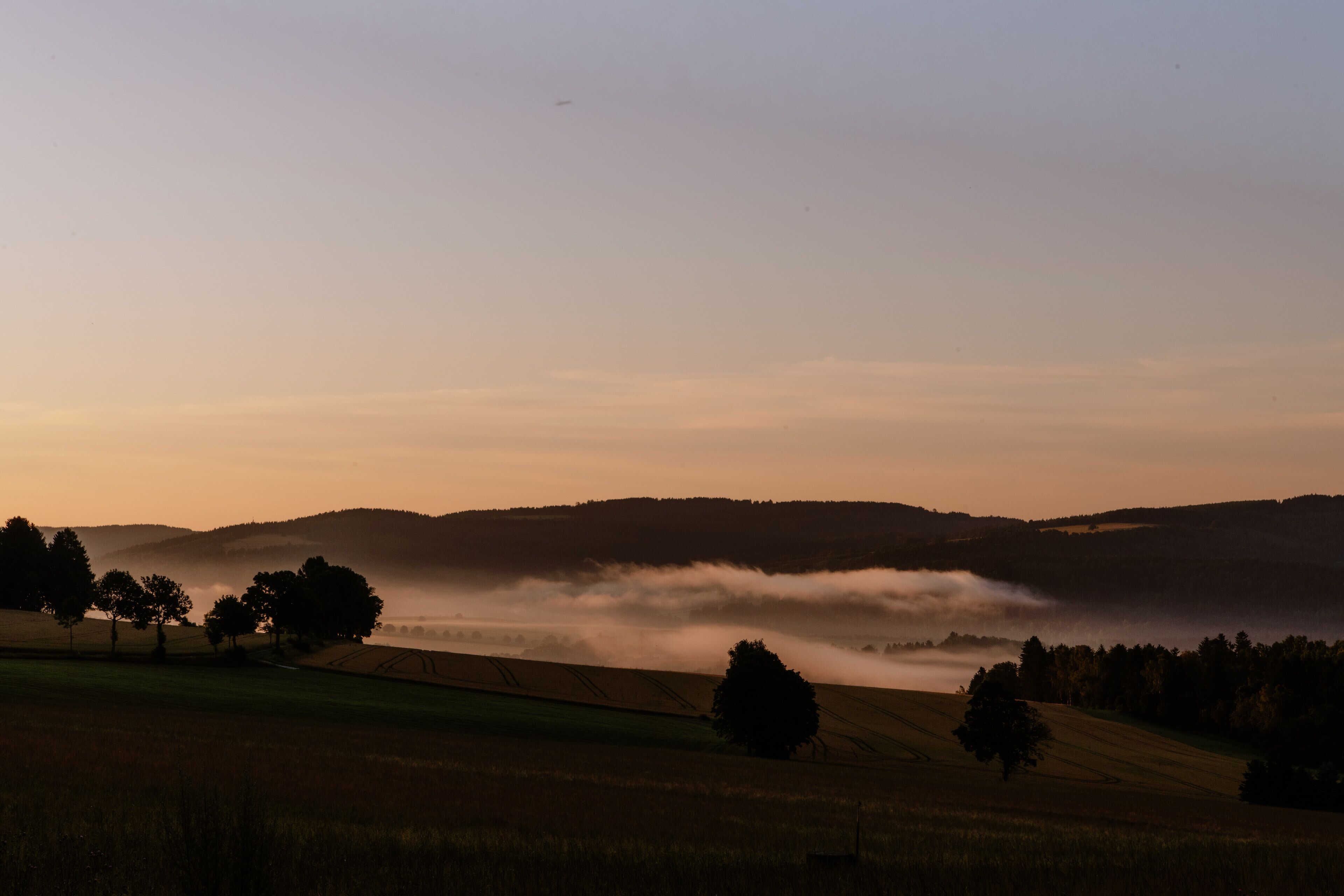 A landscape with rolling hills, a misty valley, and a few trees.
