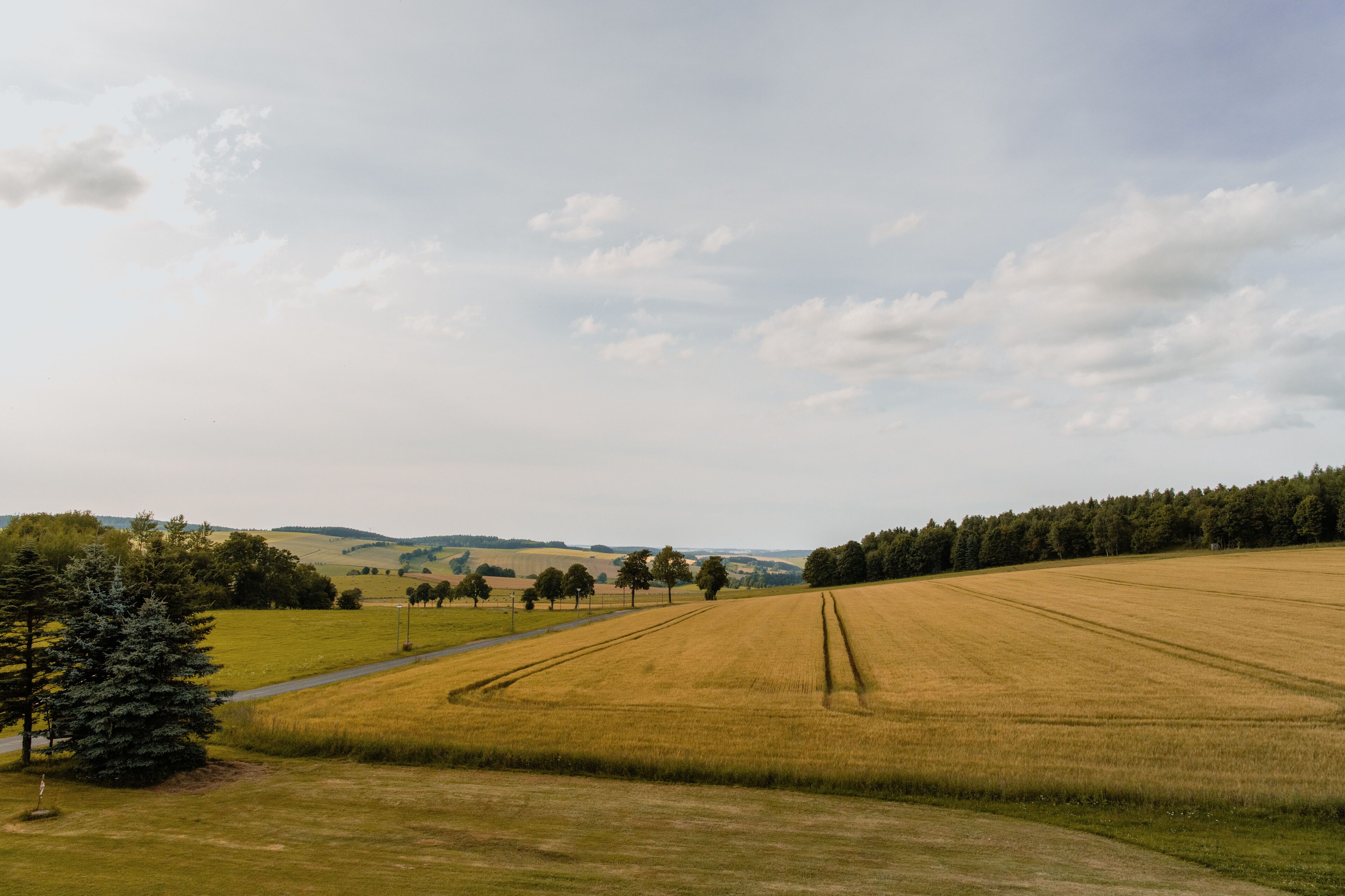 Un paisaje rural con un campo, una carretera y una hilera de árboles.