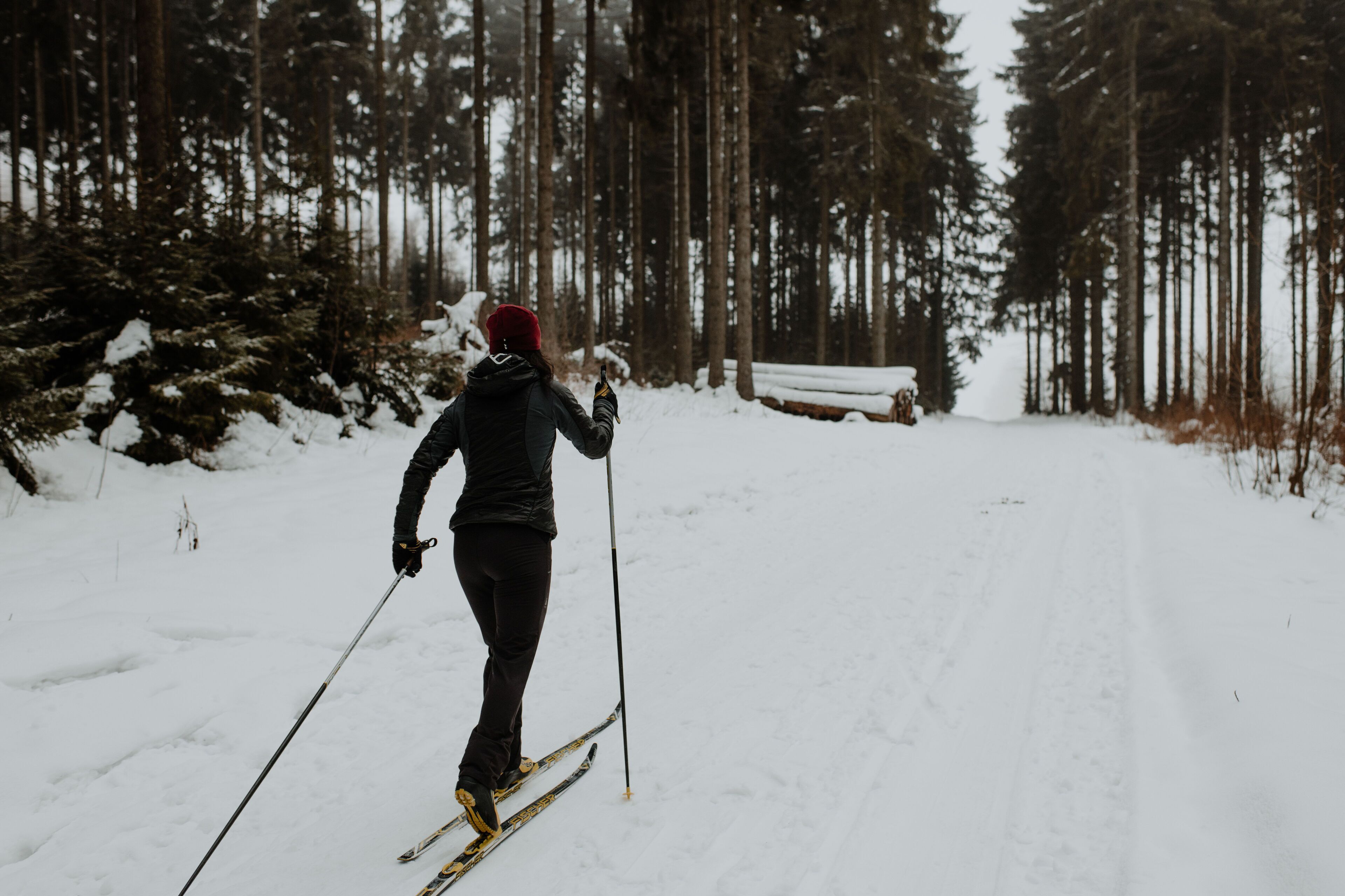 Eine Person beim Skifahren in einem verschneiten Wald.