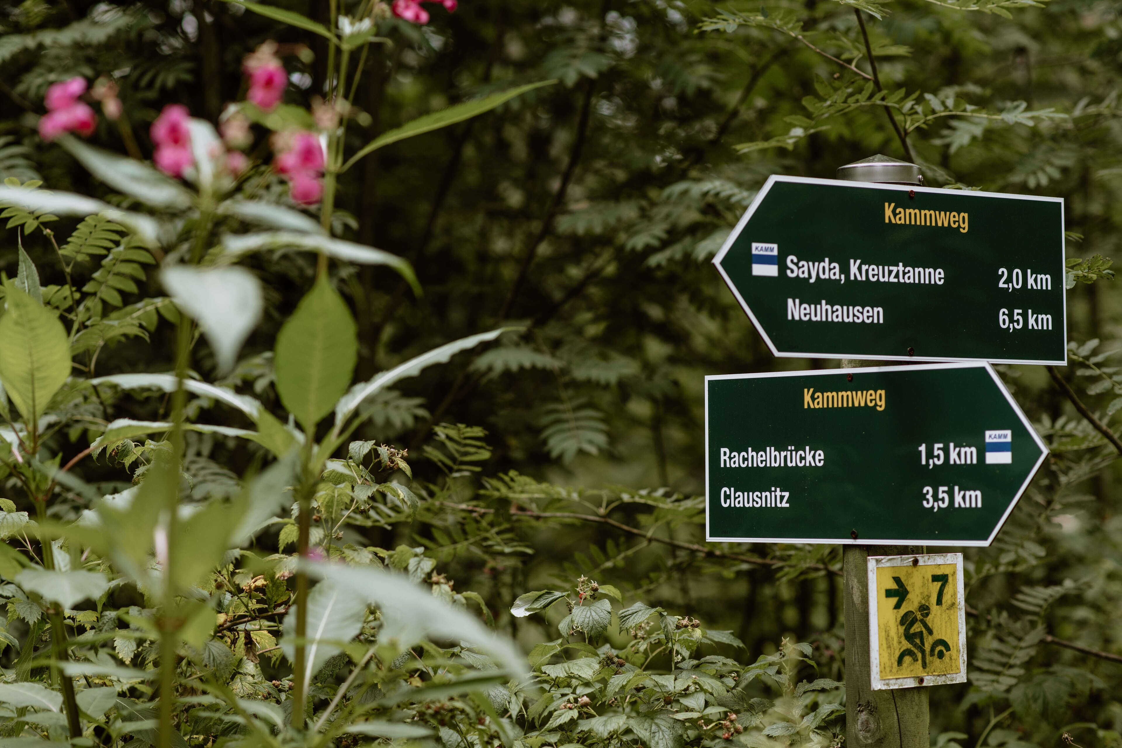 Un panneau indicateur indiquant les directions, placé dans un environnement naturel, avec des chemins menant à différentes destinations.