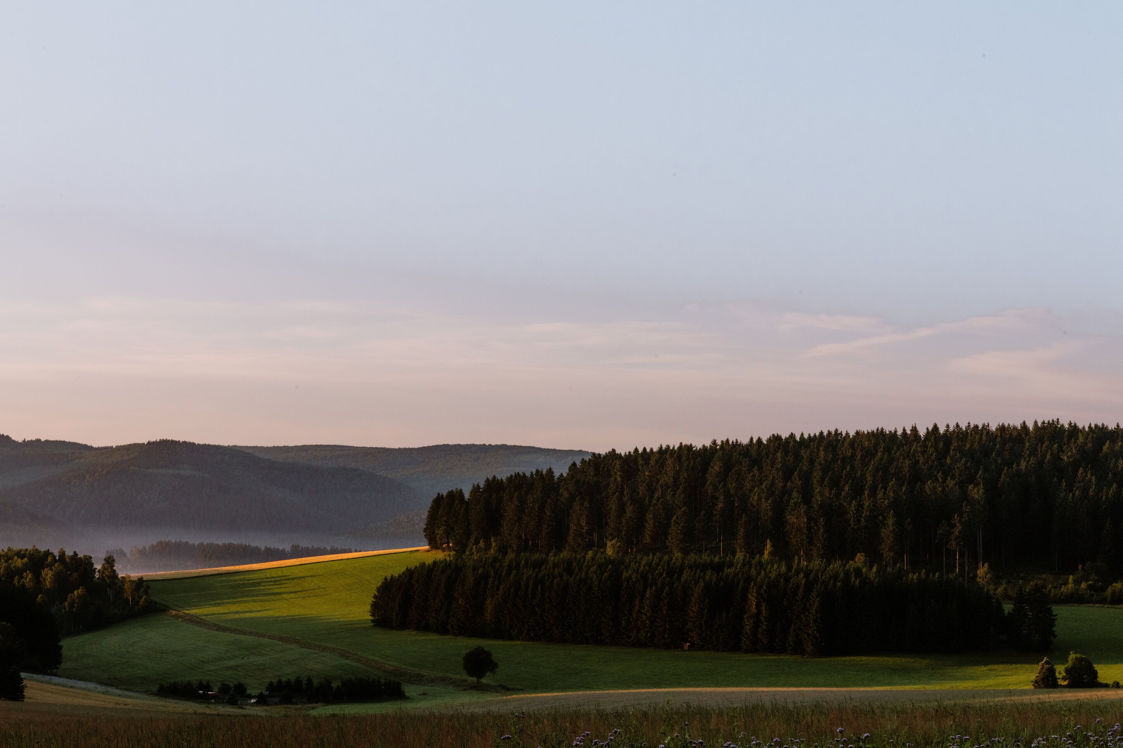 Vista panorámica de un paisaje rural con colinas onduladas, un bosque denso y cielo despejado.