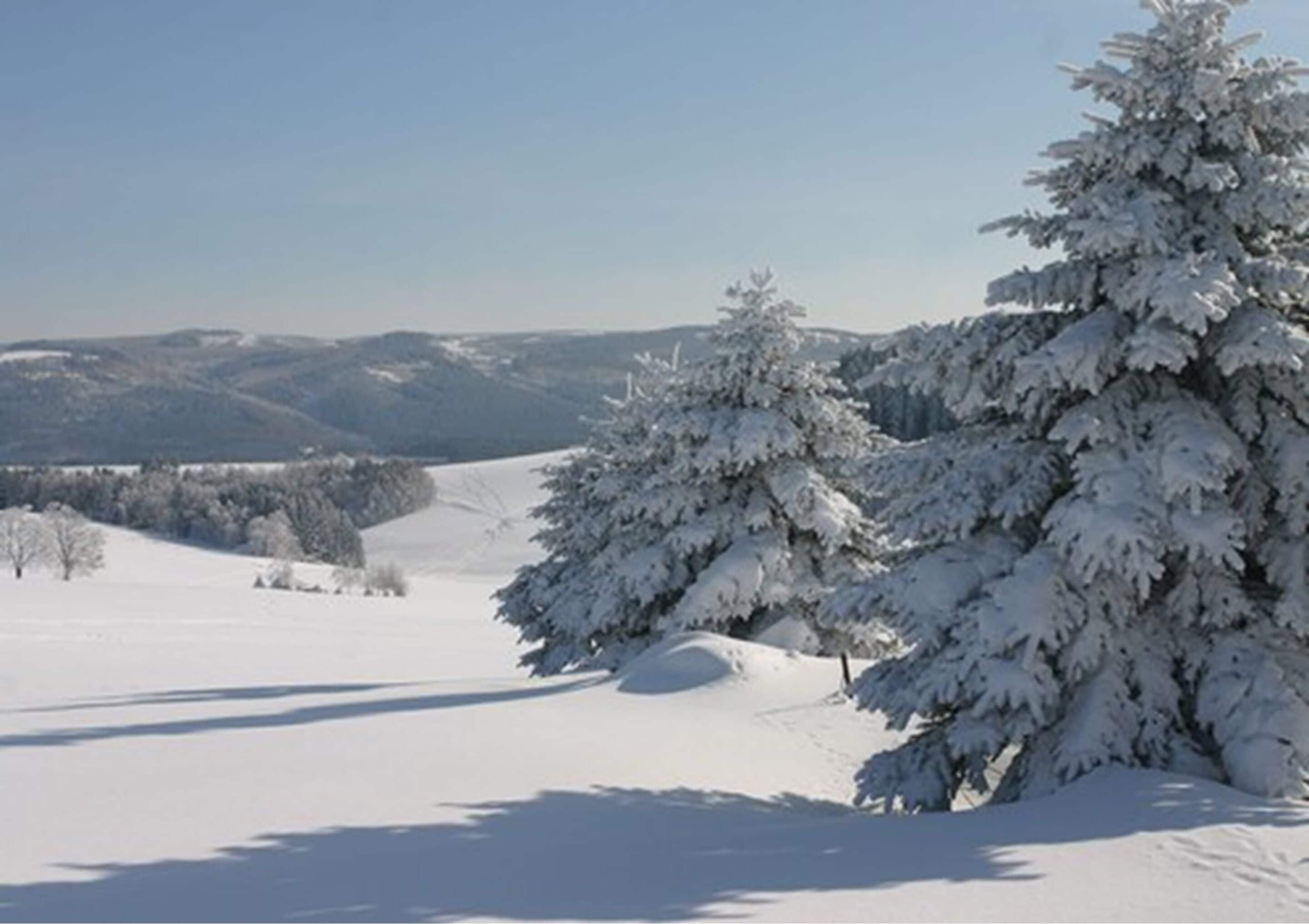 A snowy landscape with snow-covered trees and a clear sky.