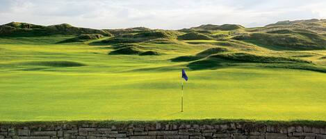 A golf course with rolling green hills and a stone wall at the foreground.