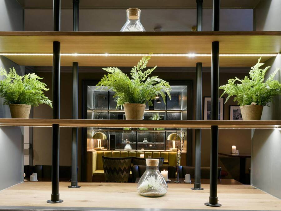 A modern interior with a wooden shelf holding potted plants and a glass vase.