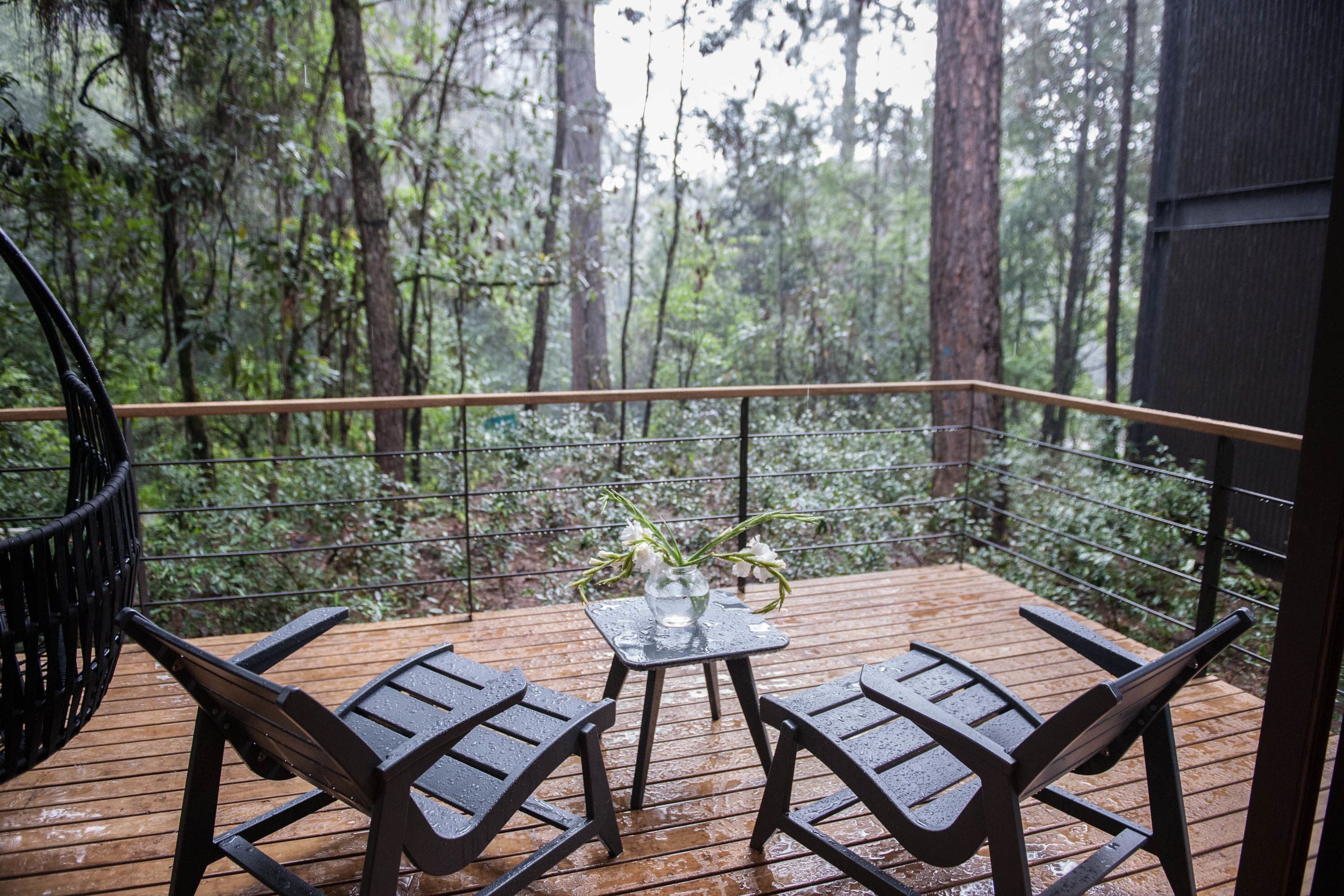 Forest Suite | View from room