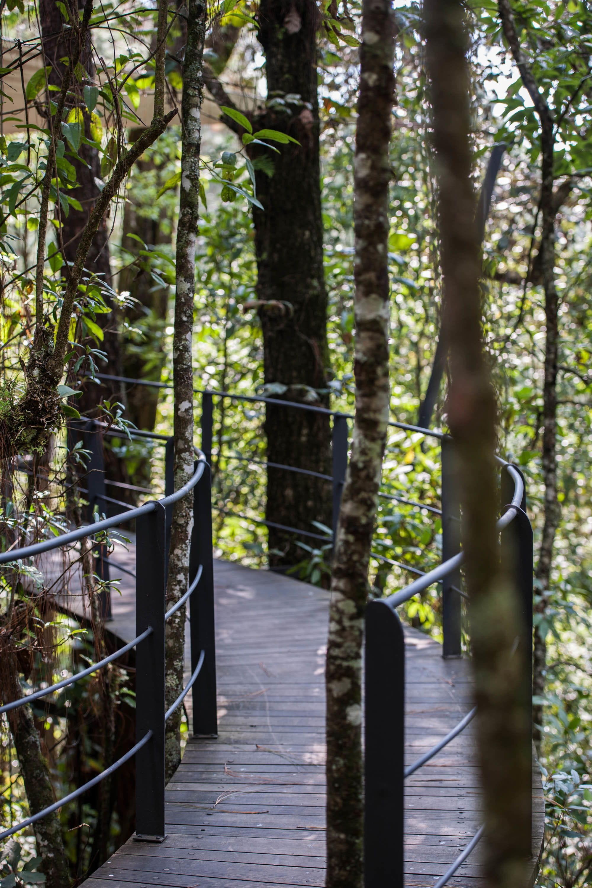 king loft | 1 bedroom, premium bedding, down duvets, pillow-top beds