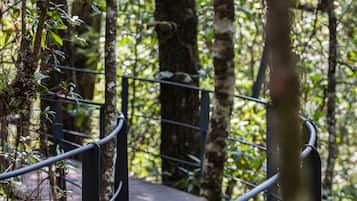 King Loft | Premium bedding, down comforters, pillowtop beds, in-room safe