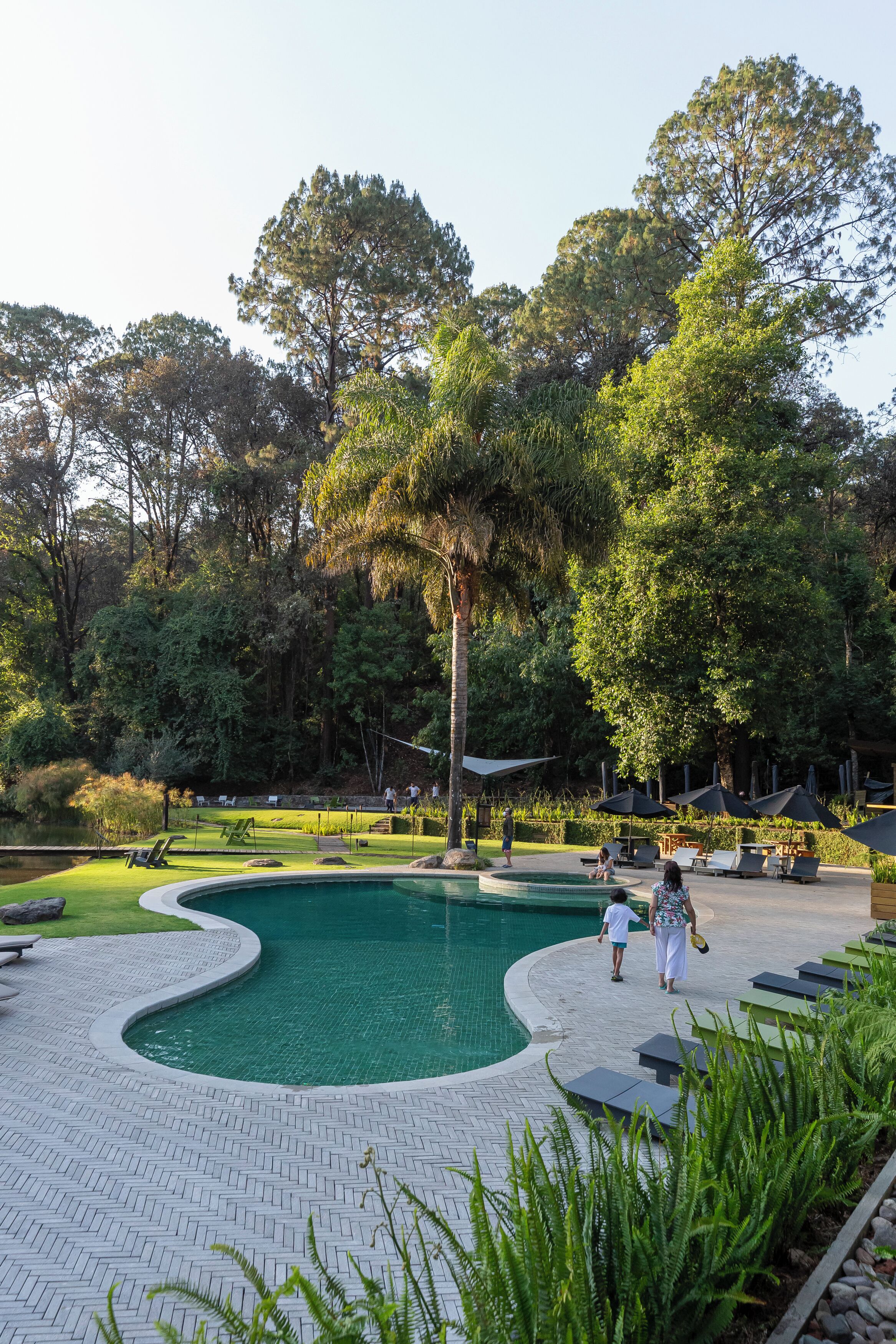 Outdoor pool, pool umbrellas, sun loungers