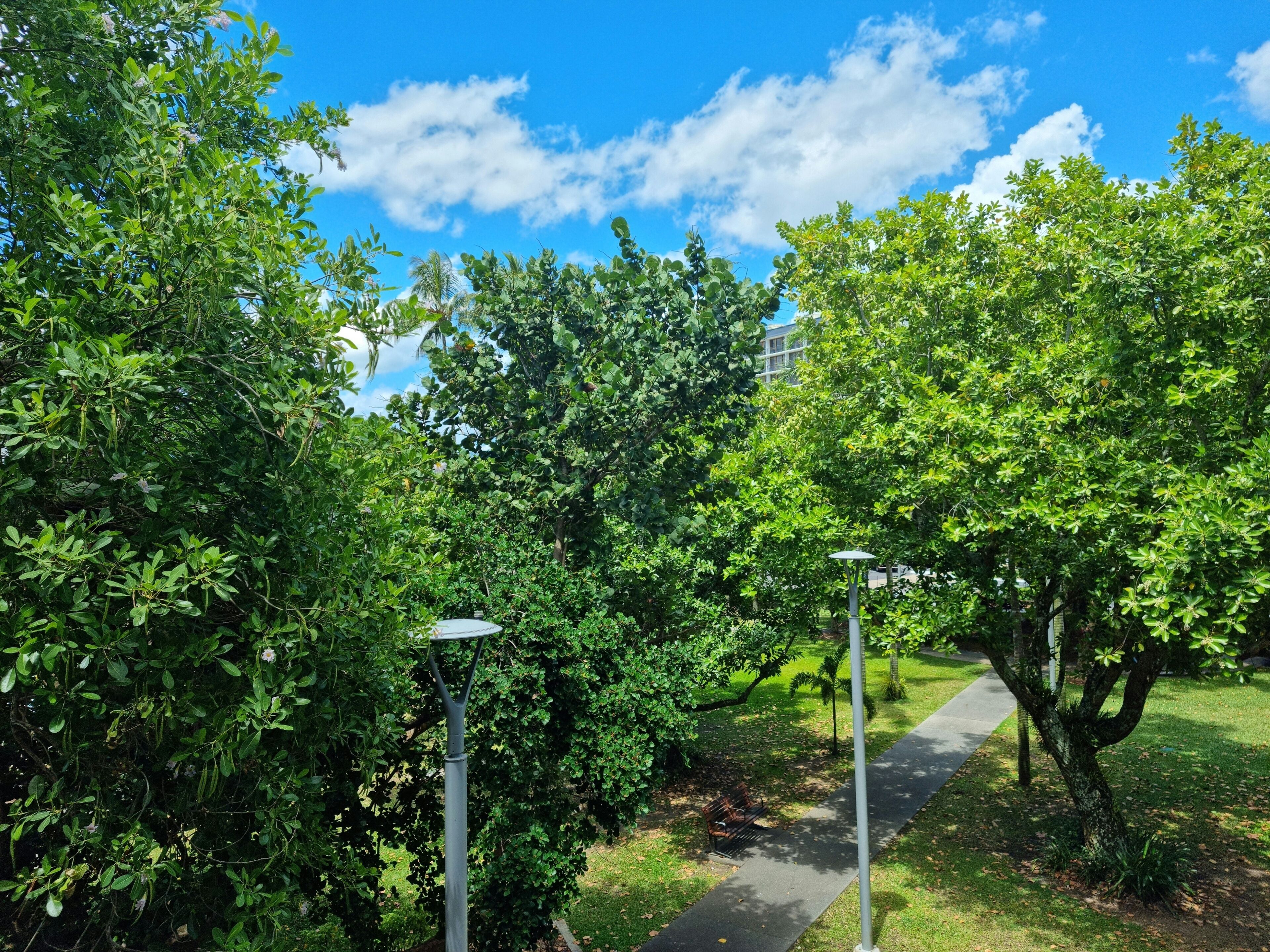 standard studio | balcony view