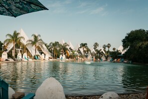 A pool area with palm trees, lounge chairs, and a clear sky.