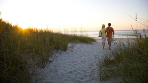 A pathway leading to the beach with sand and grass on either side. - Ocean Creek Resort (Myrtle Beach)