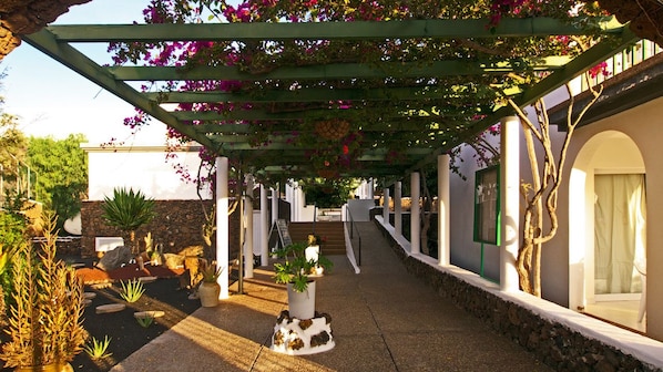 Jardin