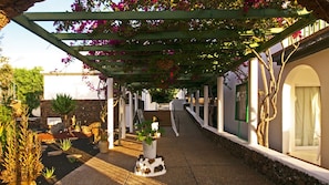 Garden - Guacimeta Apartamentos (Tías)