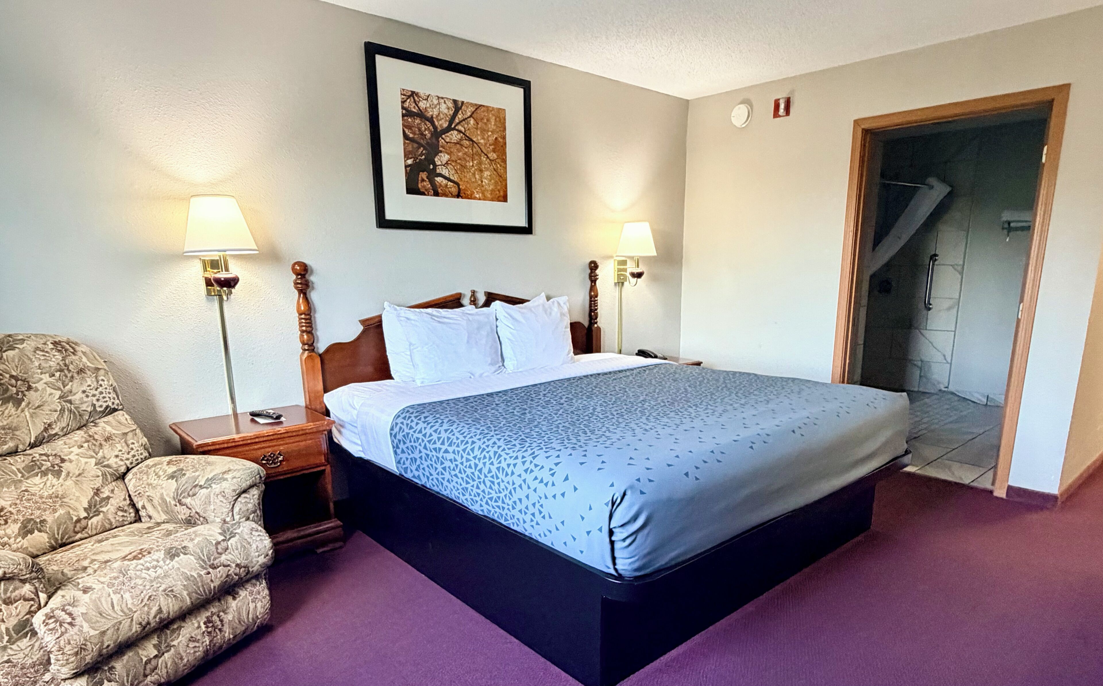 Standard Room, 1 King Bed, Non Smoking