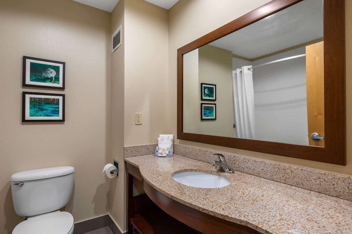 Bathroom | Free toiletries, hair dryer, towels, soap