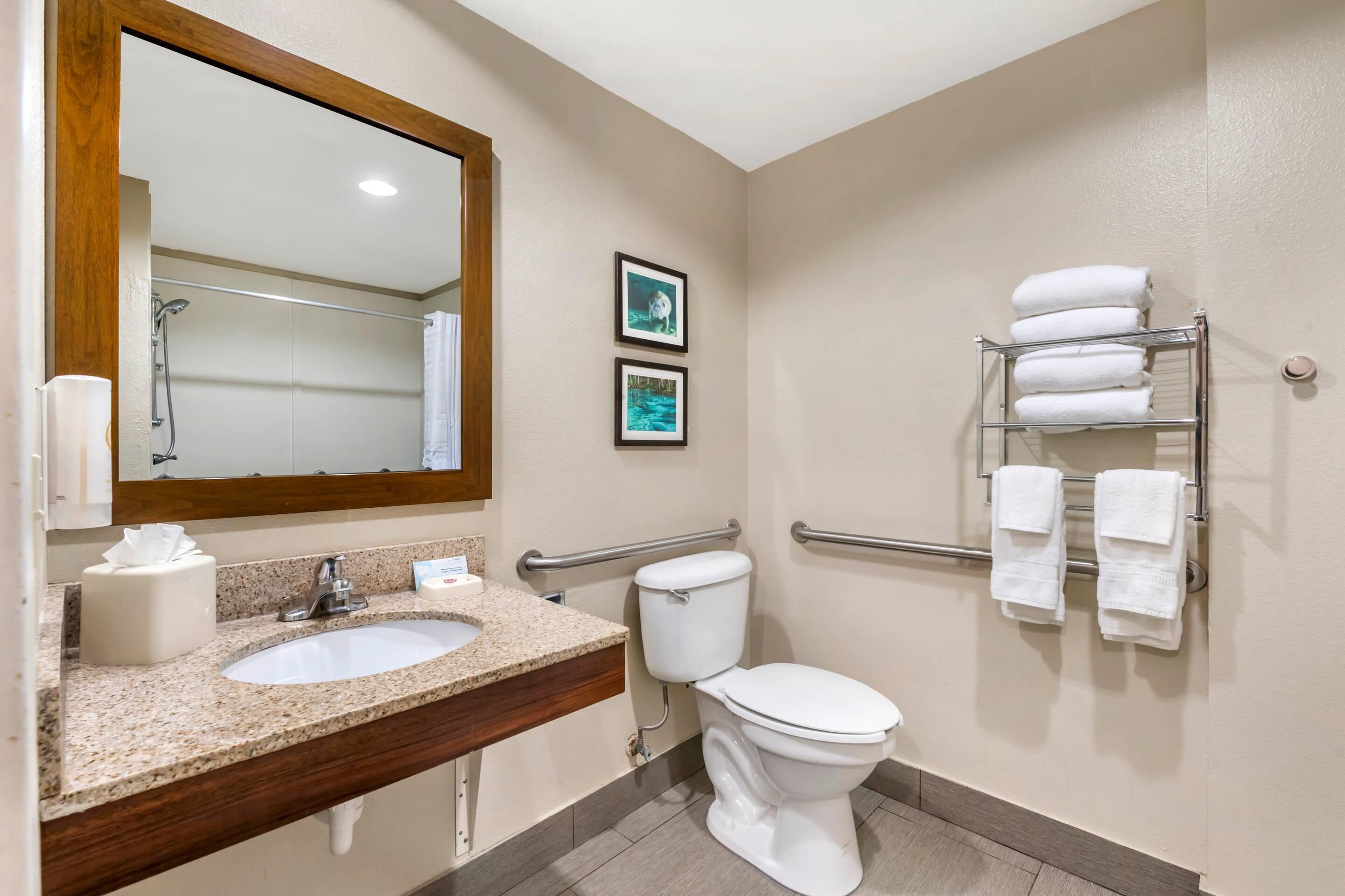 A bathroom with a sink, mirror, toilet, and towel rack.