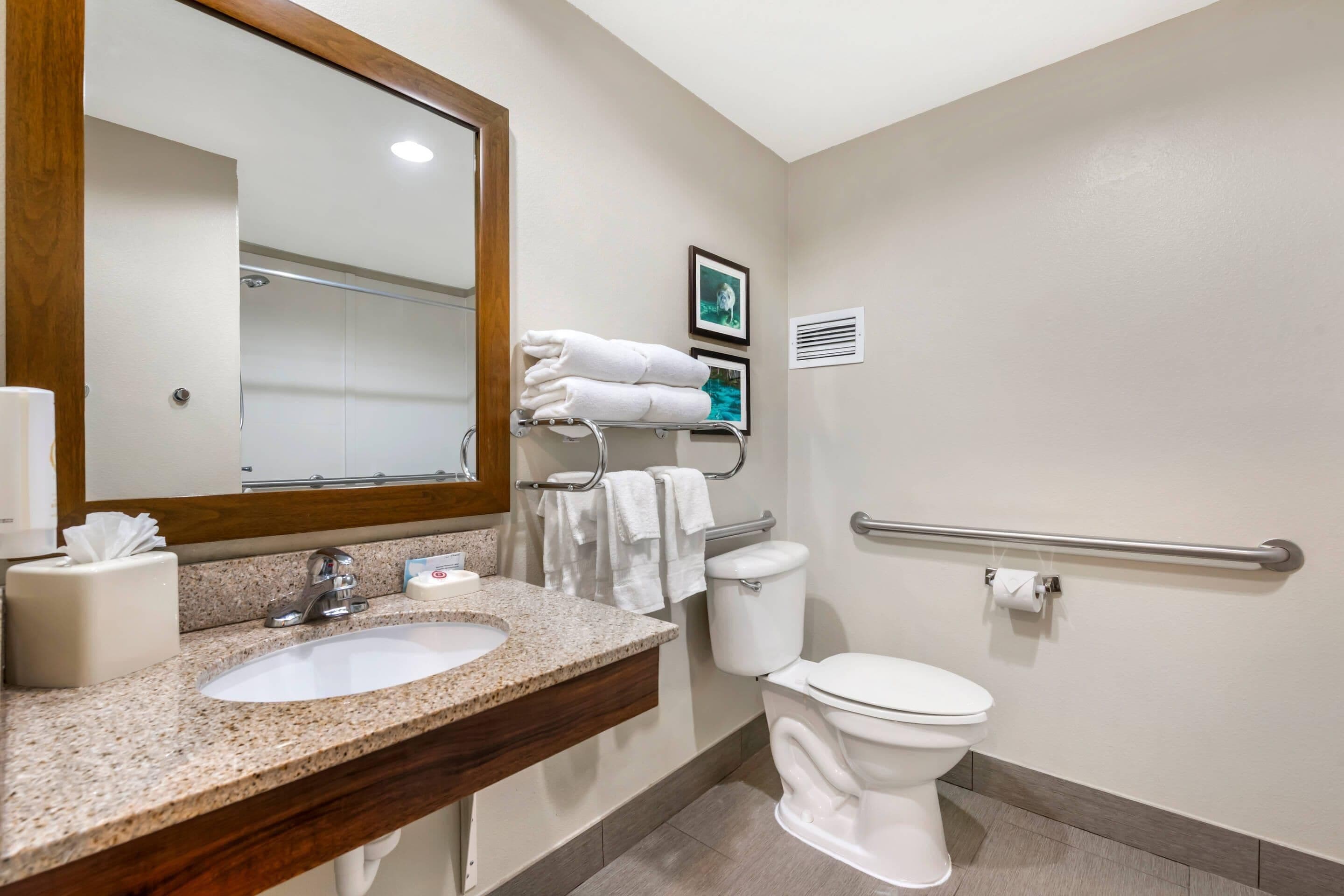 A bathroom with a sink, mirror, toilet, and handrails.