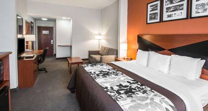 Sleep Inn & Suites Palatka North