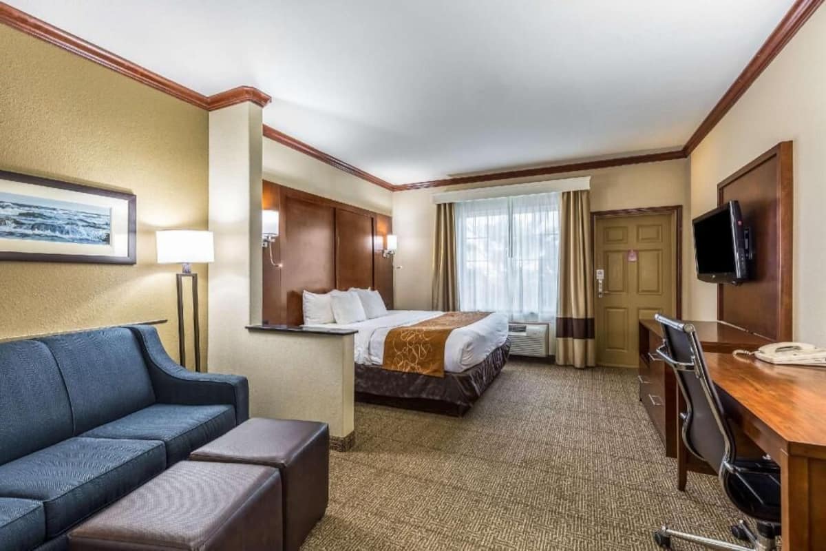 Una habitación de hotel con cama, escritorio, silla, sofá y televisor.