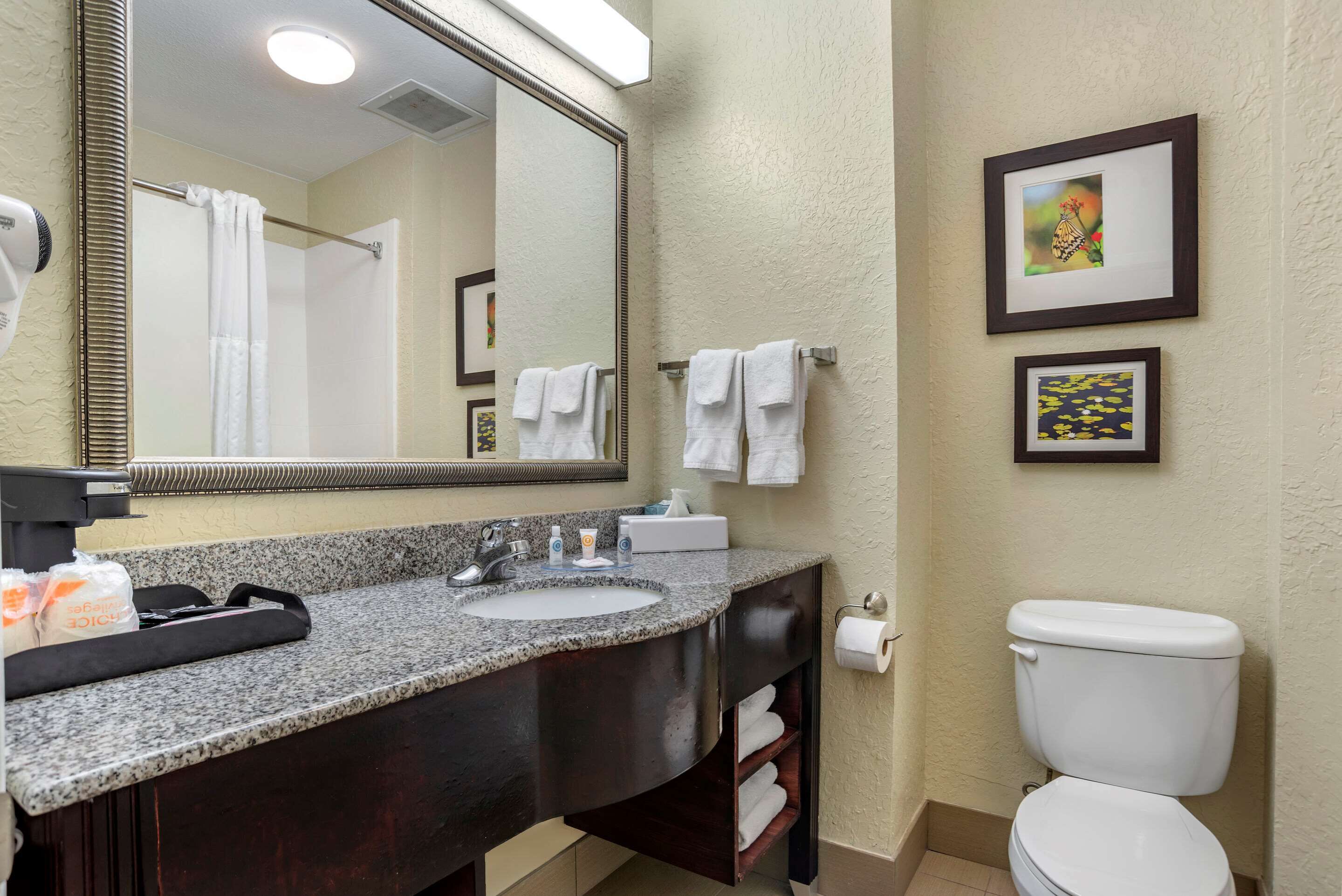 A bathroom with a granite sink, a large mirror, a white toilet, and two framed pictures on the wall.
