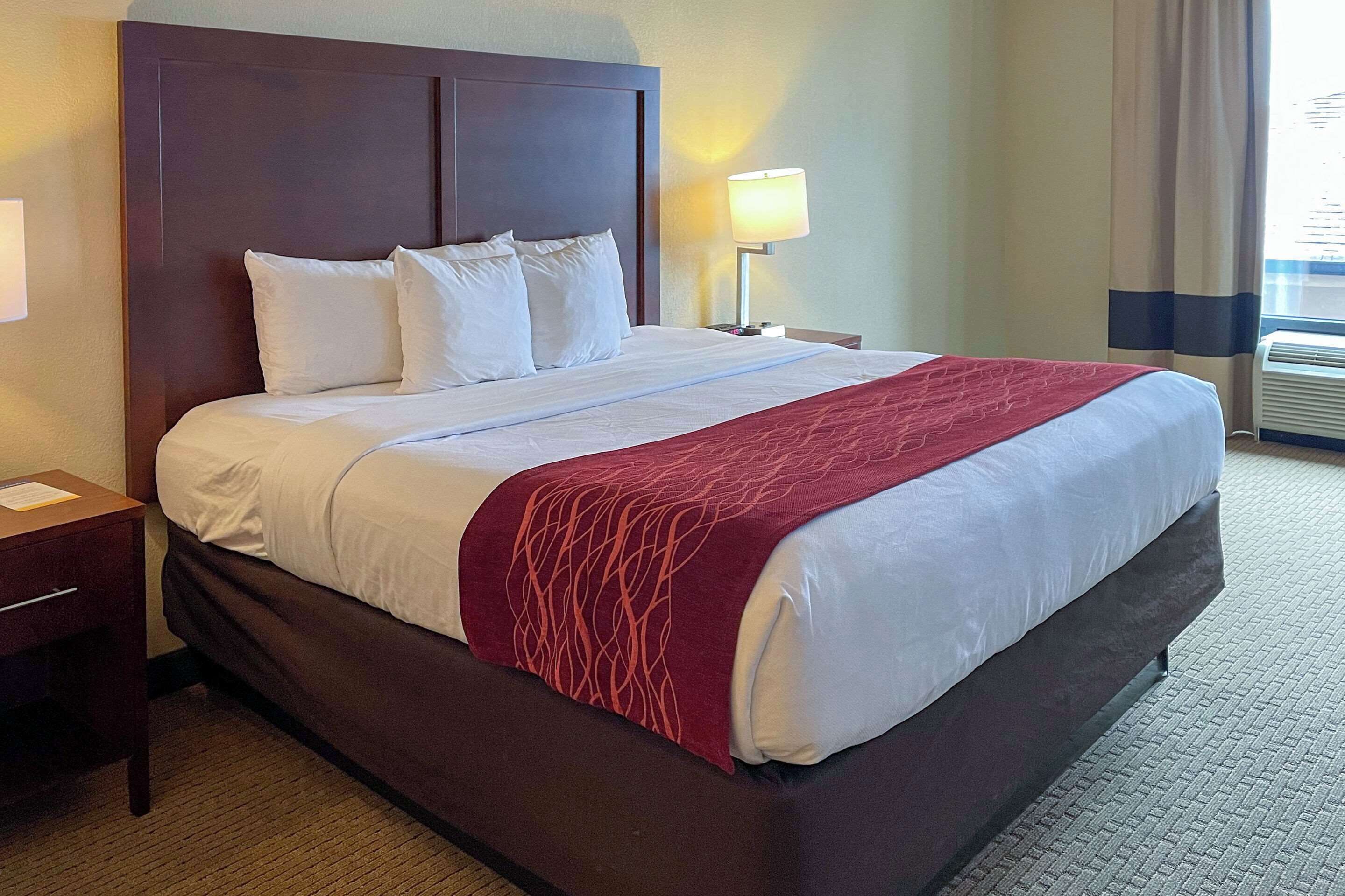 A hotel room with a large bed, a nightstand, a lamp, and a window with curtains.