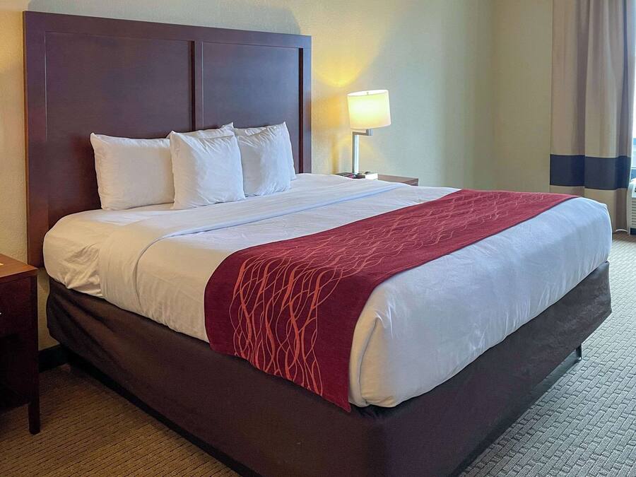 A hotel room with a large bed, a nightstand, a lamp, and a window with curtains.
