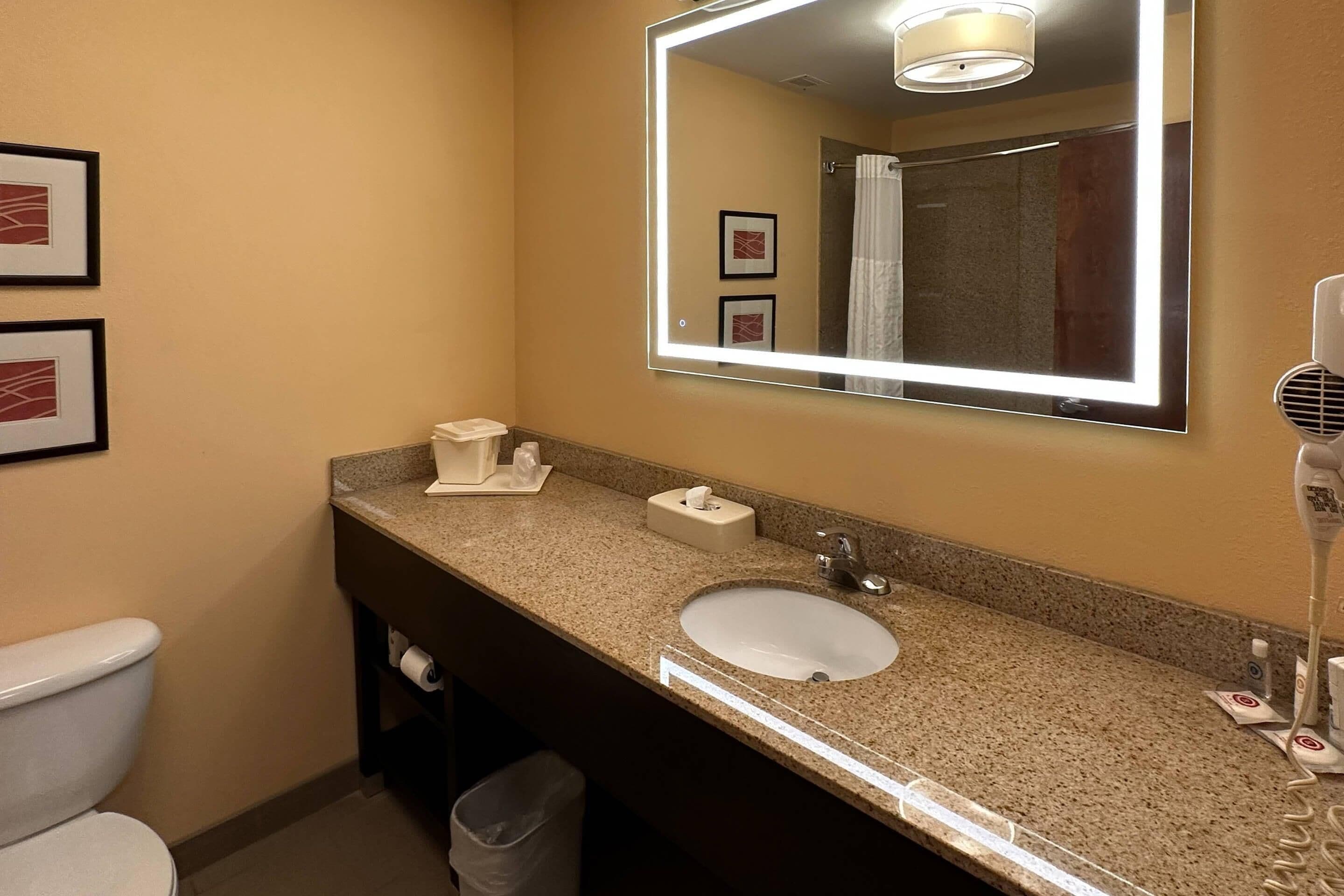 A bathroom with a sink, mirror, and toilet.