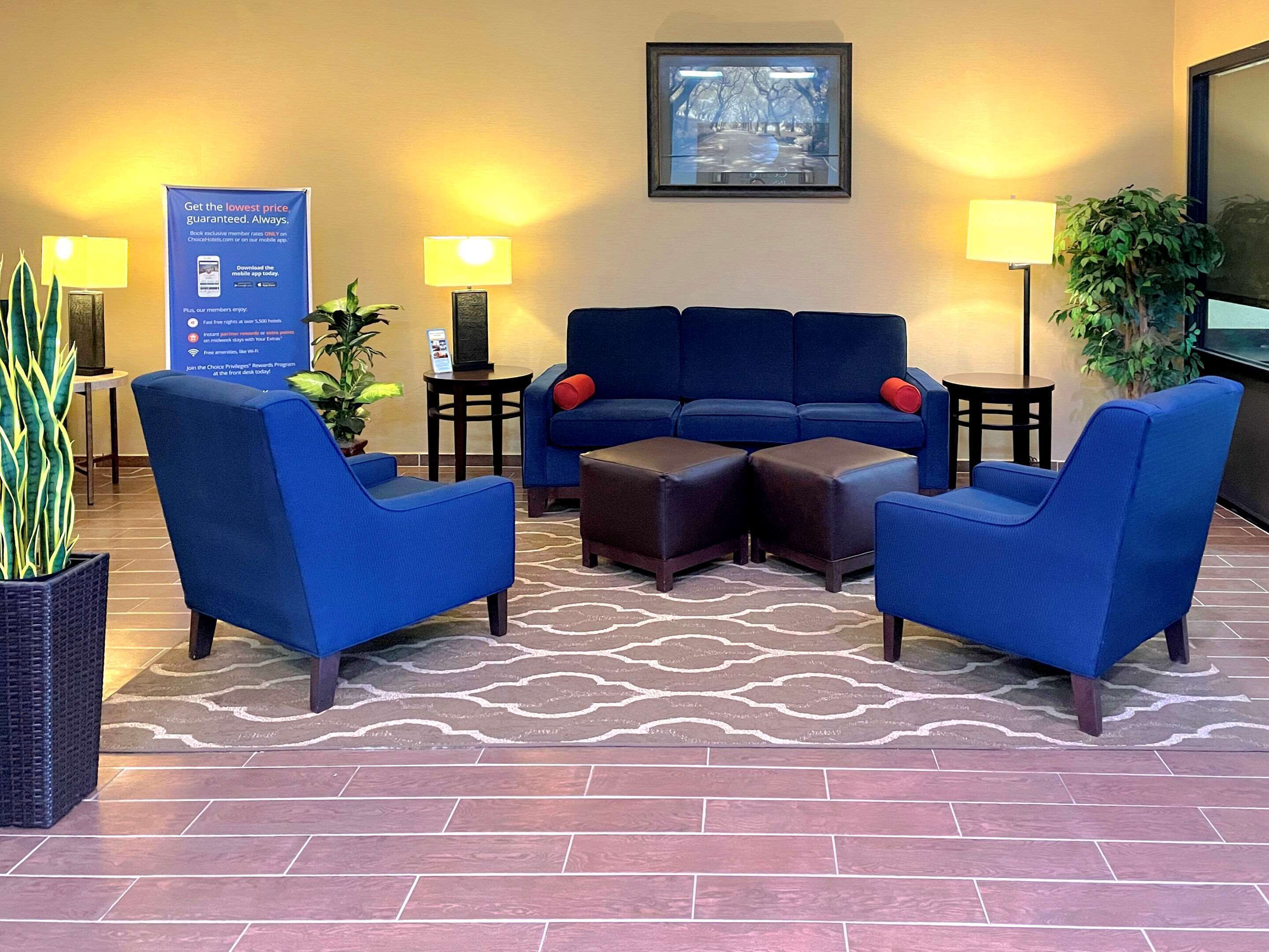 Un hall d’entrée avec un canapé bleu, deux fauteuils, une petite table et une plante en pot.