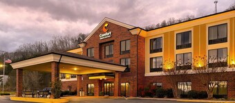 Comfort Inn & Suites Rogersville