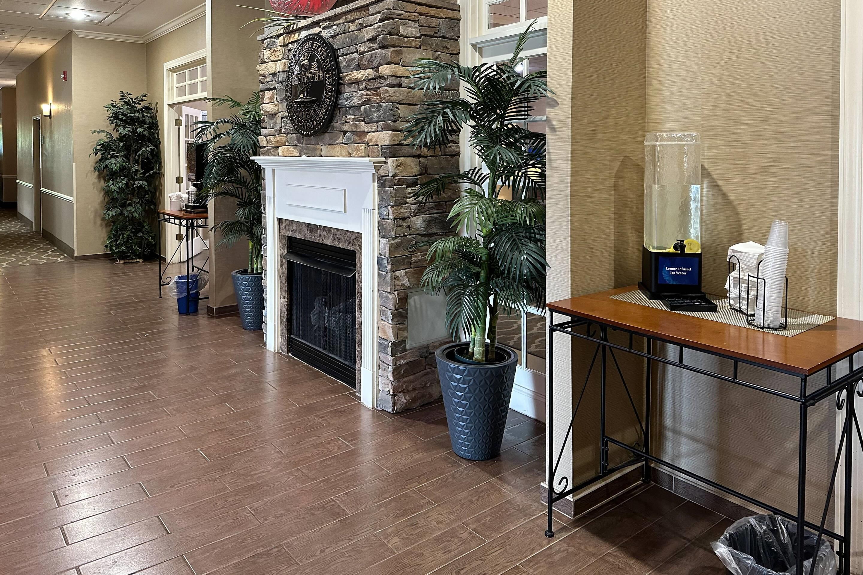 A hotel lobby with a stone fireplace, potted plants, a water dispenser, and a trash can.