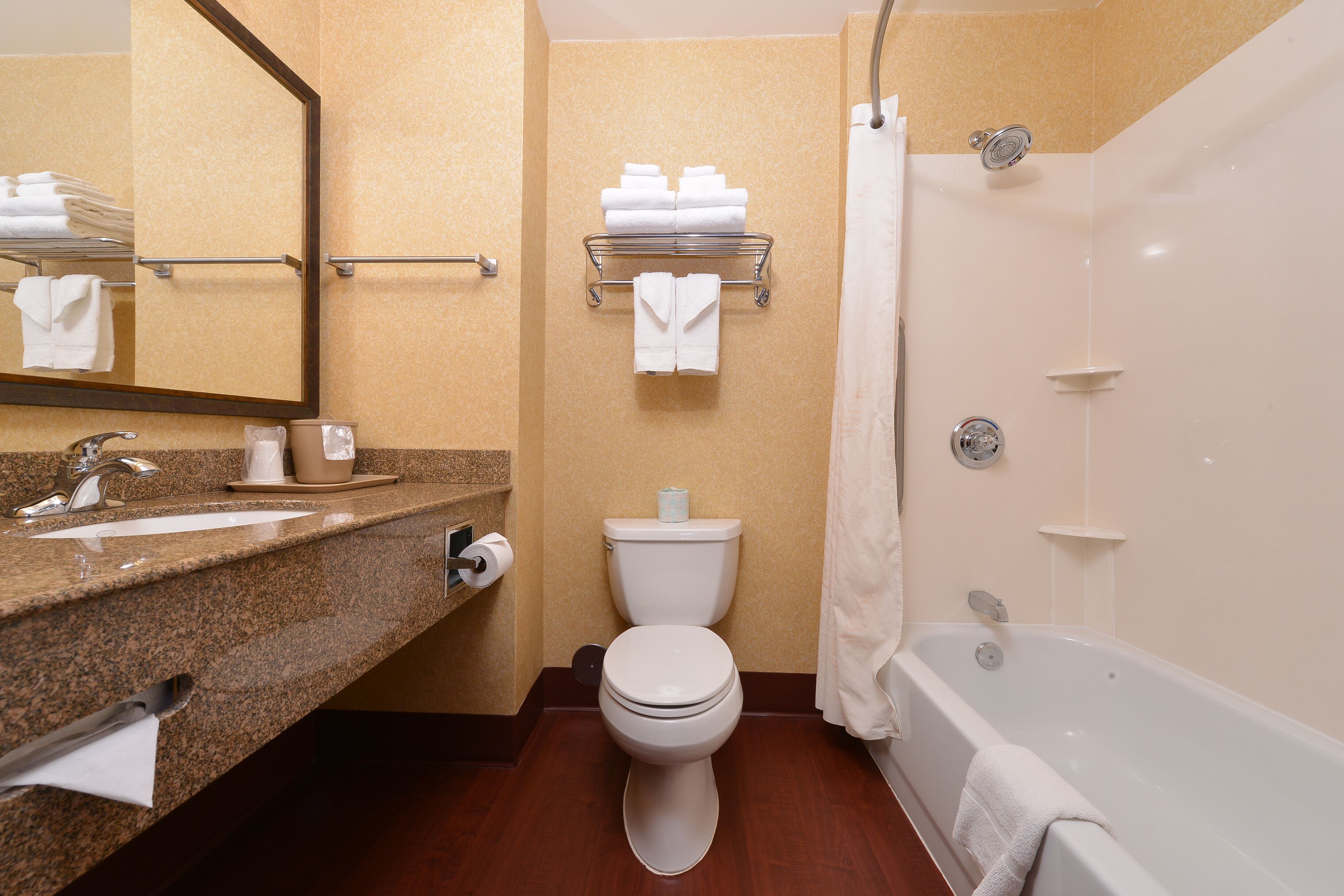 combined shower/bathtub, free toiletries, hair dryer, towels