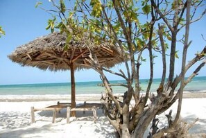 Private beach, white sand, sun-loungers, beach umbrellas - Pakachi Beach Resort & Hotel (Jambiani)