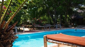 Outdoor pool, sun loungers - Pakachi Beach Resort & Hotel (Jambiani)