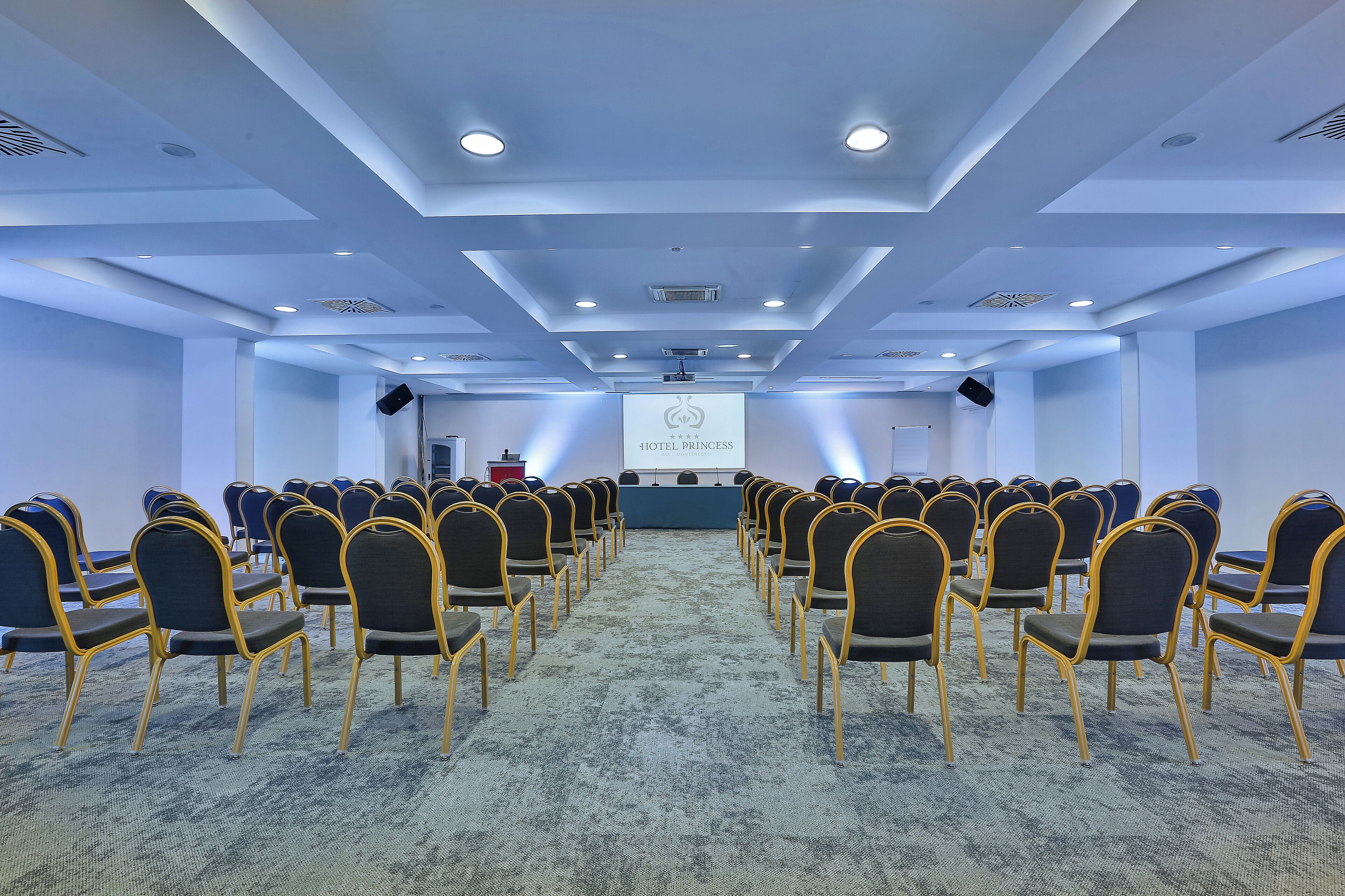 Una sala conferenze con file di sedie rivolte a un podio, pavimento rivestito di moquette e soffitto azzurro con illuminazione a incasso.