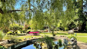 Un jardín tranquilo con un estanque, un banco rojo y varios árboles.