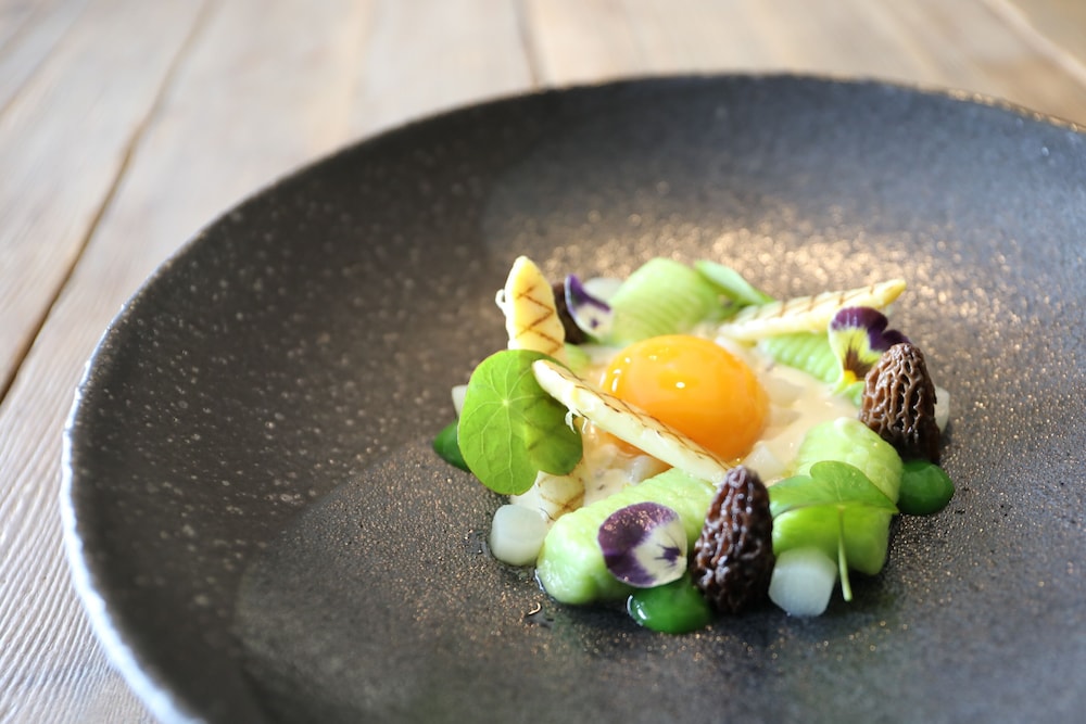 Hôtel & Spa Les Glycines by null