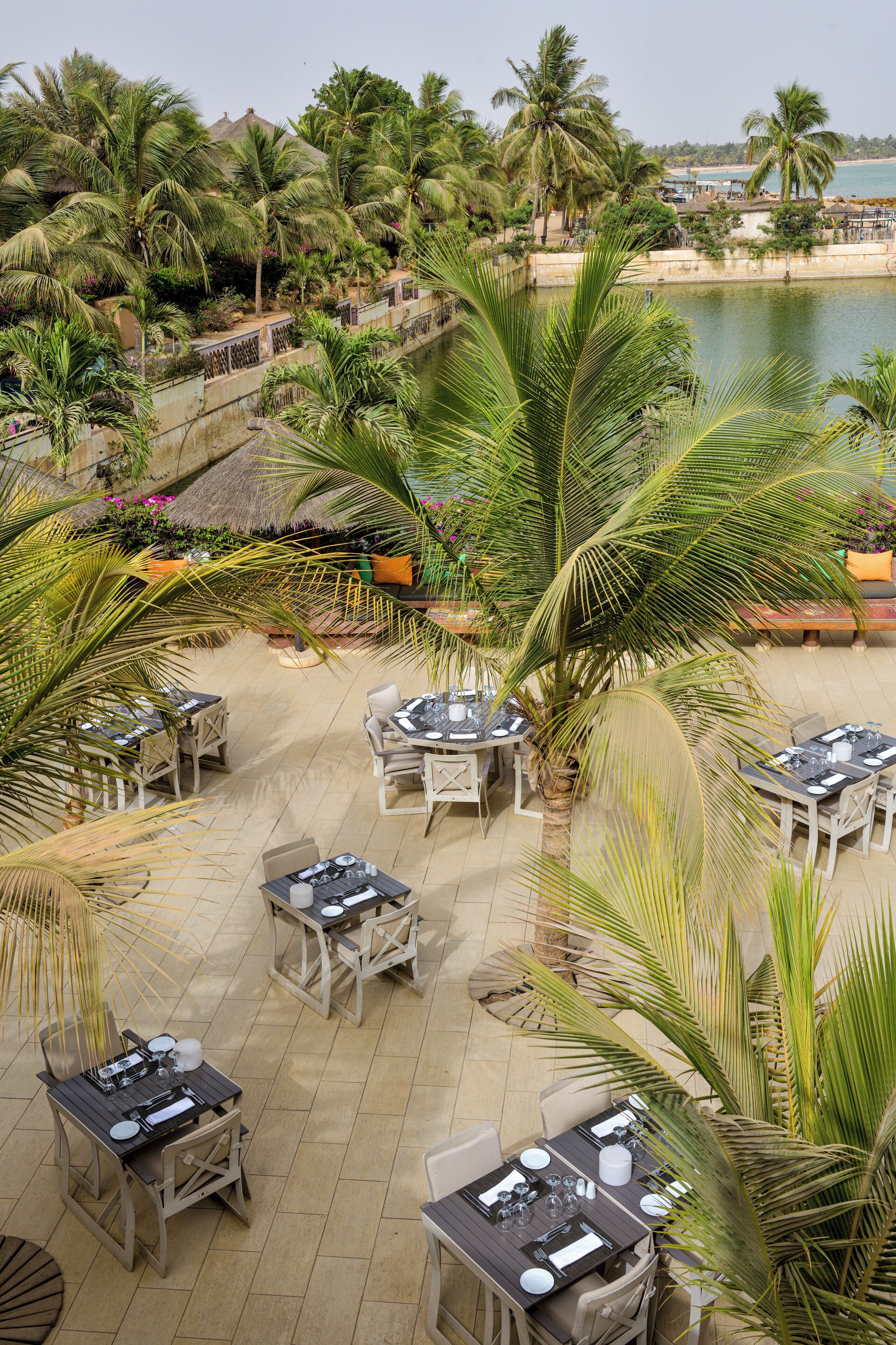 Un espacio de comedor al aire libre con mesas y sillas, rodeado de palmeras y vistas a la playa.