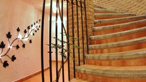 Eine Wendeltreppe mit einer Ziegelwand und einer Pflanze links.