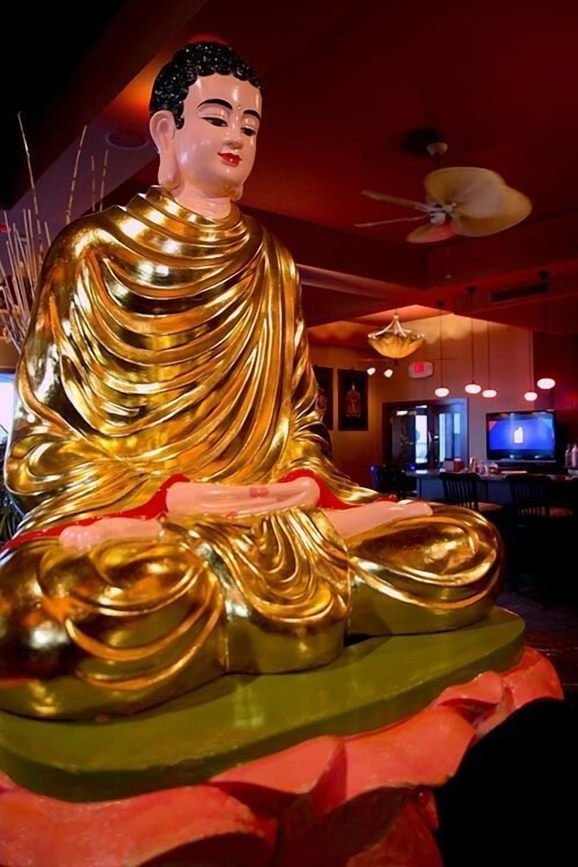 lunch and dinner served