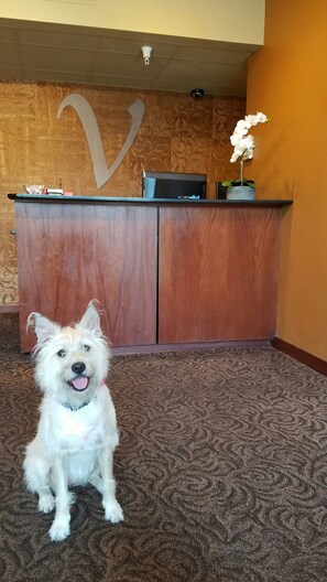 Interior entrance - V Boutique Hotel (Corpus Christi)